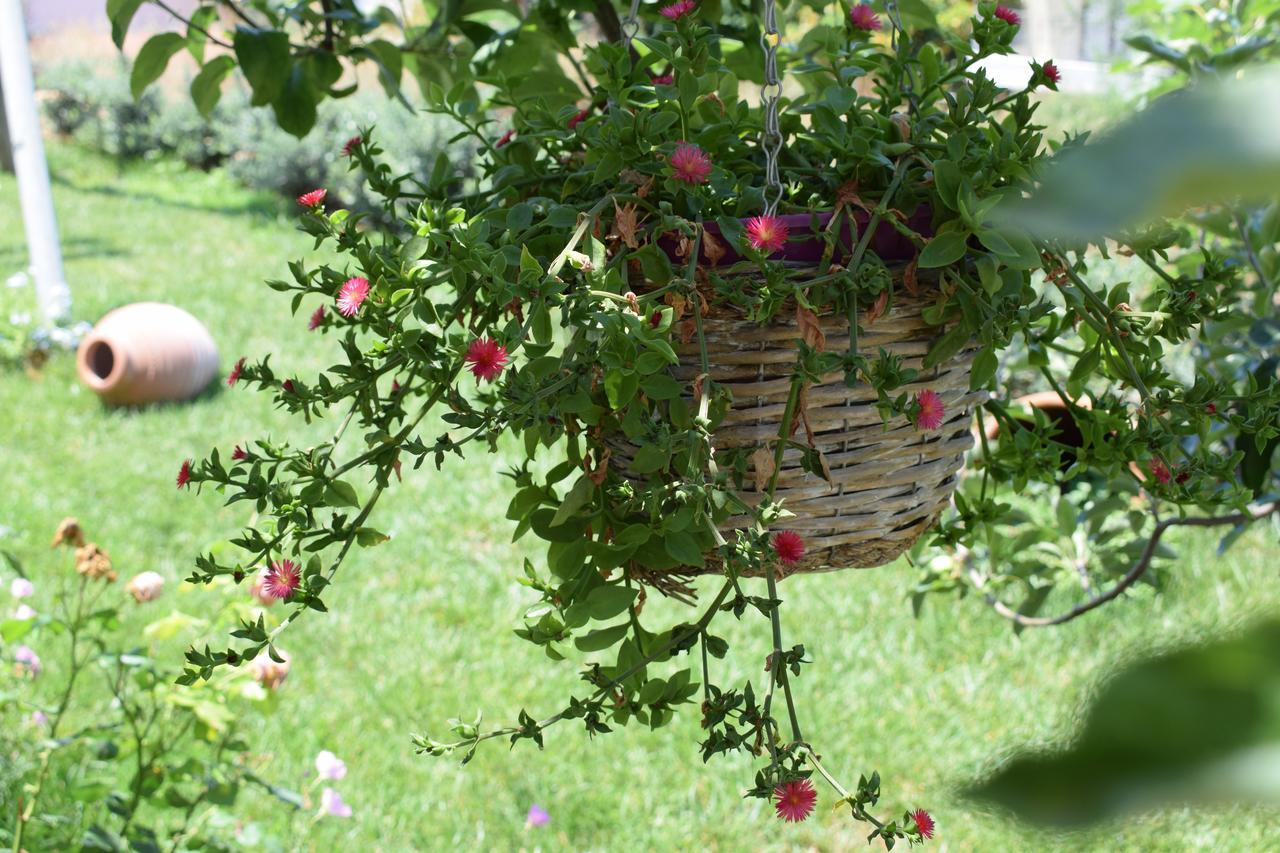 Appartamento Studio Holiday Kalamata Esterno foto